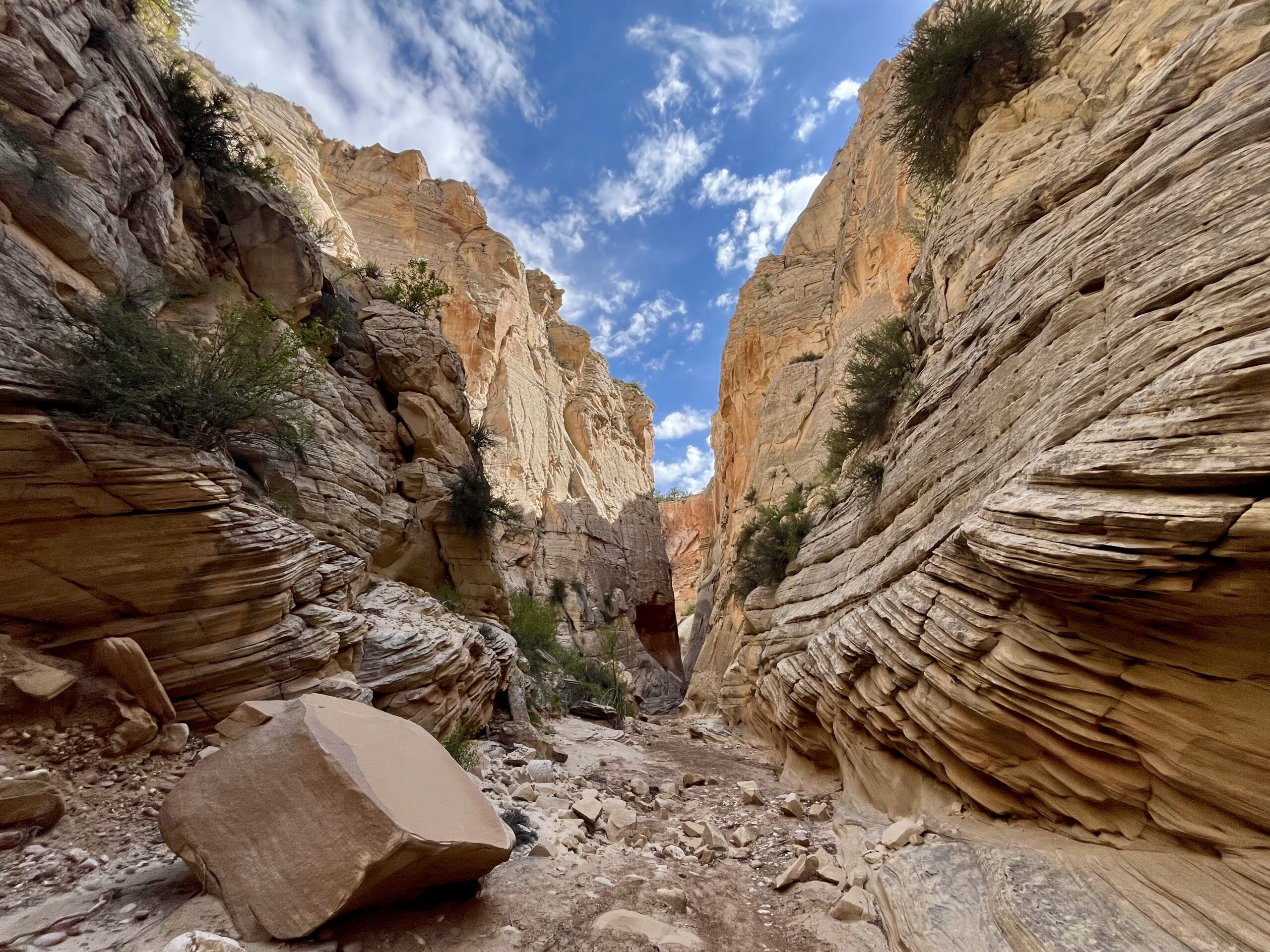 Grand Staircase Escalante National Monument : Cottonwood road