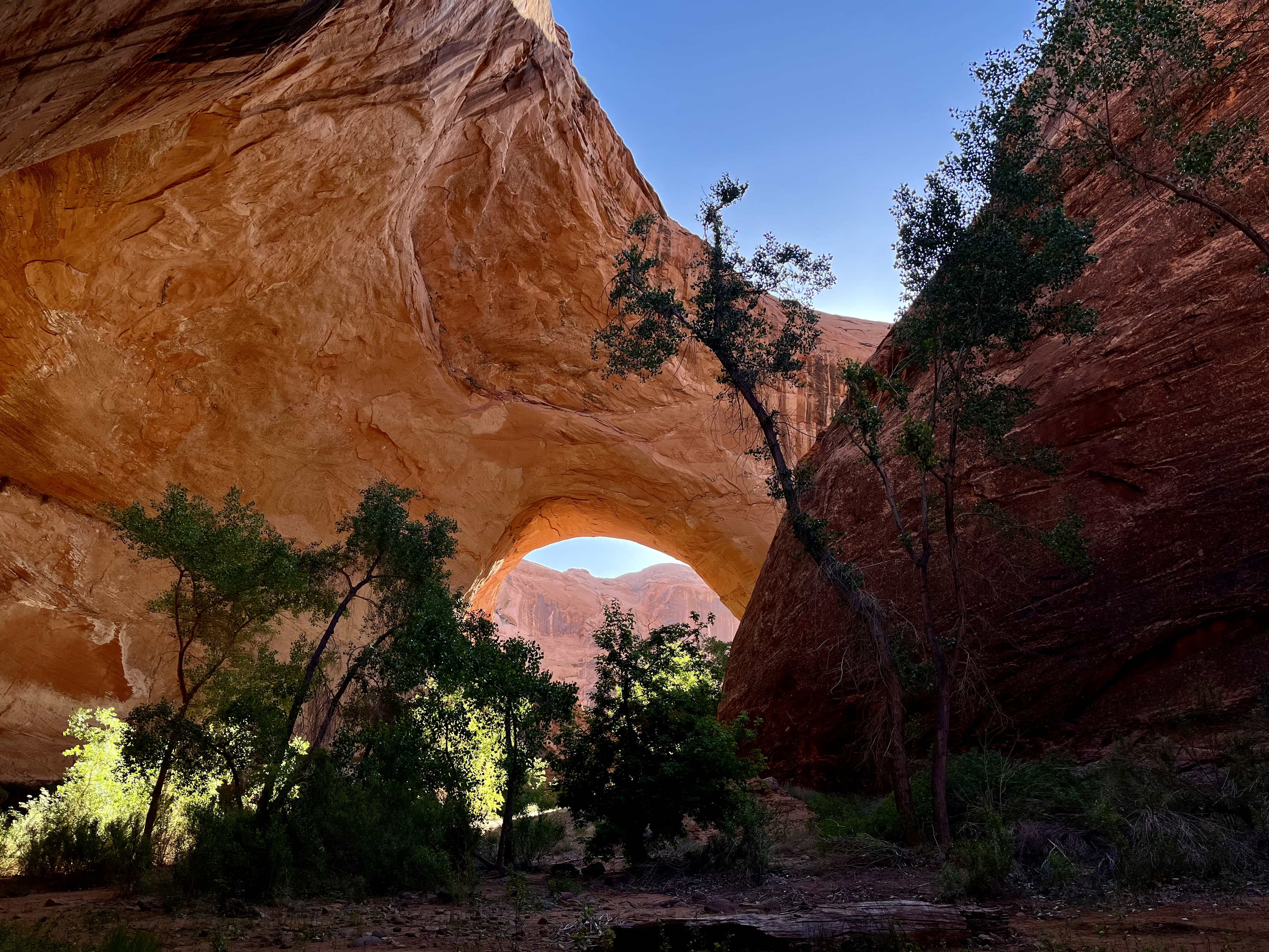 Grand Staircase Escalante National Monument : Hole-in-the-Rock Road