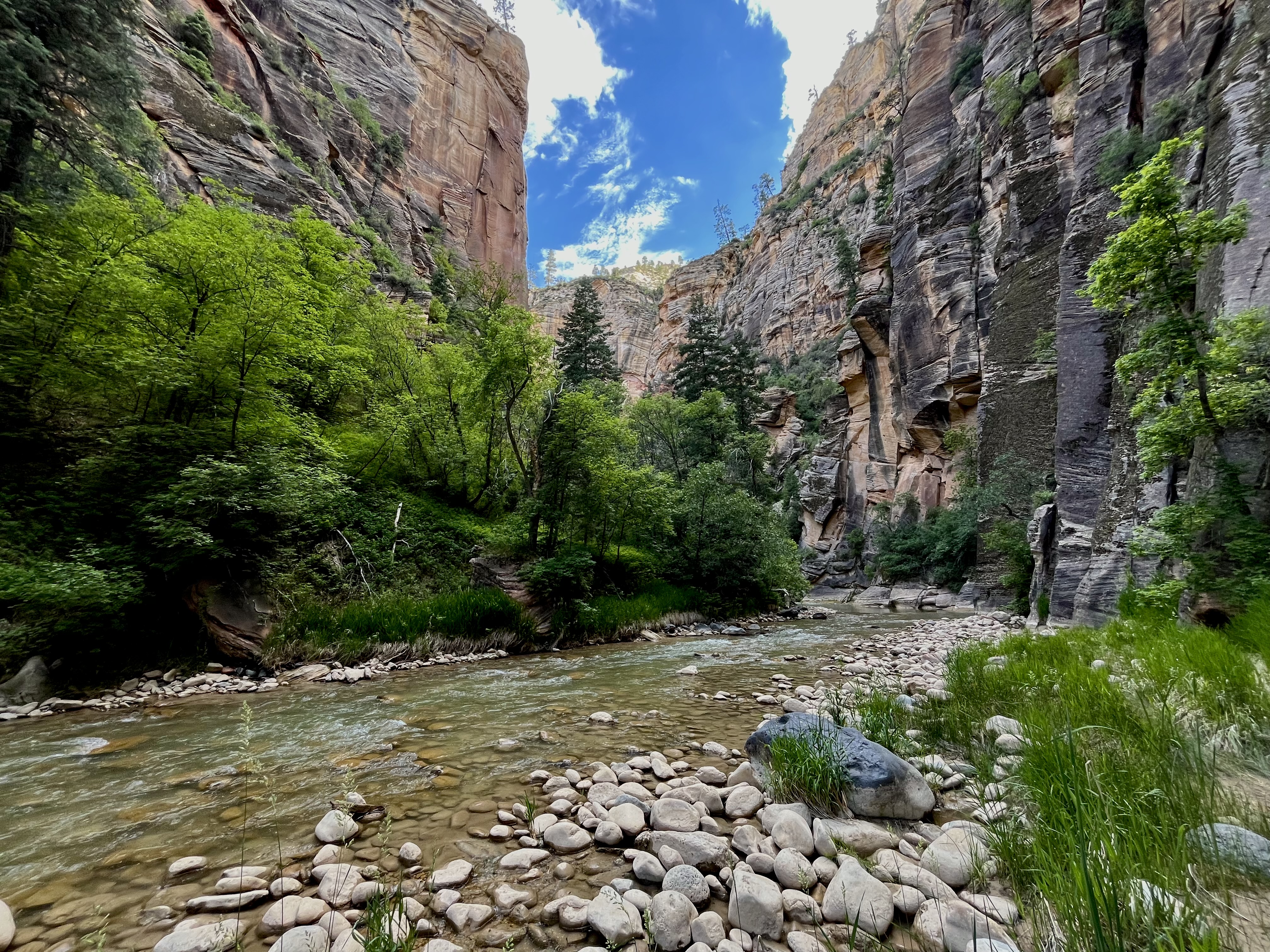 The Narrows : Top to bottom